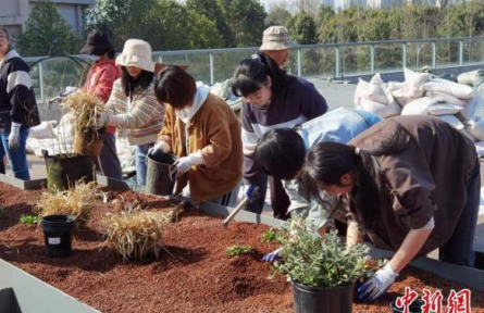 浙江农林大学：创新劳动教育课程内容 “烧菜”“种花”成必修学分