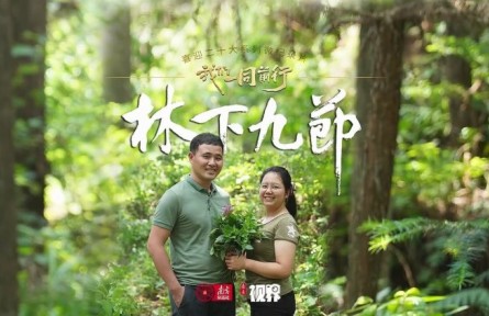 林更绿，民更富！老兵化作“新农人”，赋能粤北南岭林下生态富民路