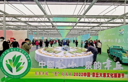 大葱长得高，百姓生活好——山东章丘大葱收获见闻
