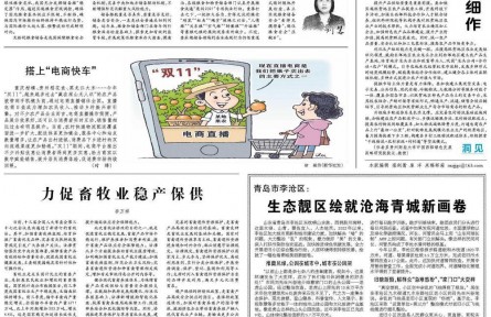 夯实国家粮食储备根基