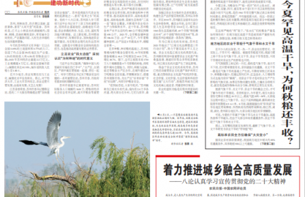 今夏罕见高温干旱，为何秋粮还丰收？