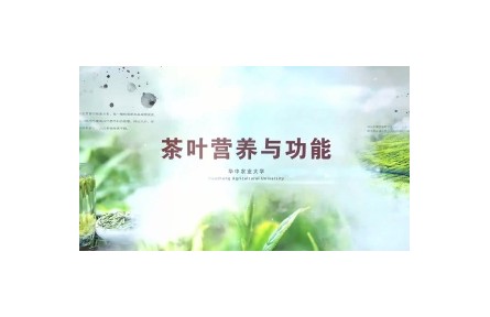 《茶叶营养与功能》课程系列视频