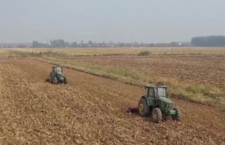 湖北：扩种冬油菜170万亩 超国家下达任务10万亩