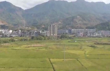 全国秋收完成97.6% 各地采取多项措施推进秋种工作