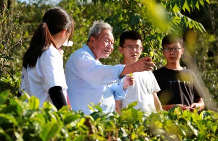 肖时英：田间地头就是我的领奖台
