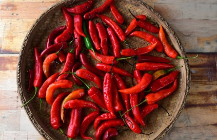 科技名词 | 辣椒红  paprika red
