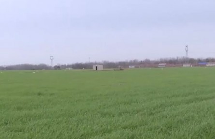 河南濮阳：应对寒潮天气 保温增温加强农业管理