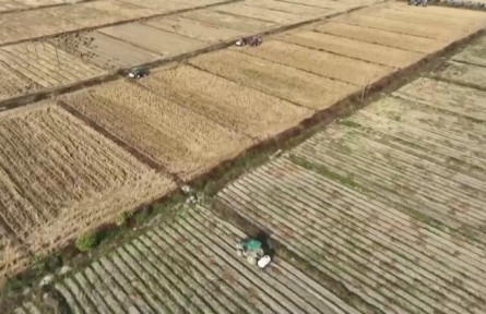 江西：开展农田建设和土壤修复 夯实粮食耕作基础