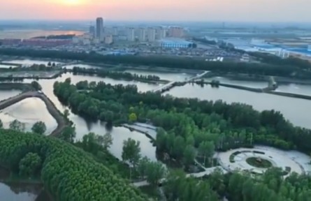 辽宁新民：数字赋能特色产业 乡村振兴路更宽