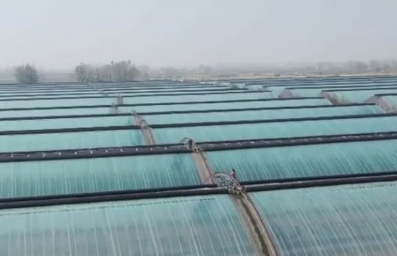 应对寒潮 沿海各地多措施保生产