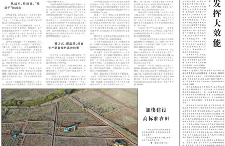 优化结构、转变方式、畅通销路 各地稳产优产举措让种粮更有奔头