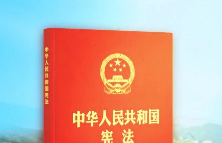 海报：第九个国家宪法日