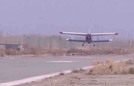 5万亩“树种球”飞播试验造林在新疆塔克拉玛干沙漠实施