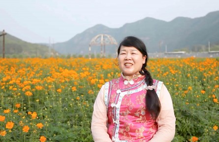 甘作“泥领”的十大女庄主③ | 王桂英：带领山村百姓致富的引路人