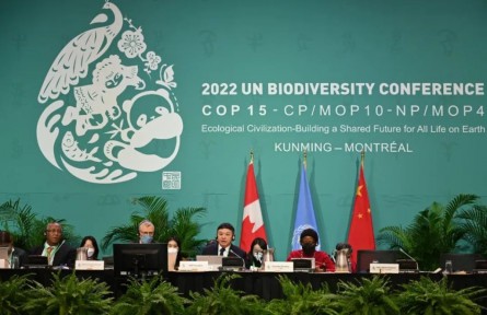 《生物多样性公约》第十五次缔约方大会（COP15）第二阶段会议开幕