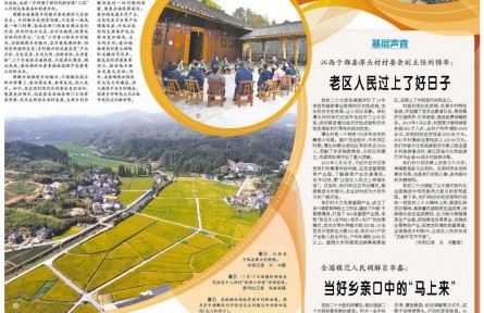 在全面推进乡村振兴的大路上行稳致远