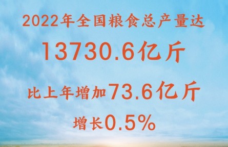 增产丰收！2022年全国粮食总产量达13730.6亿斤