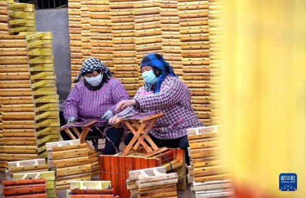 山东沂源：冬闲增收忙
