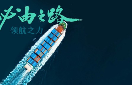 五集微政论片《必由之路》第一集《领航之力》