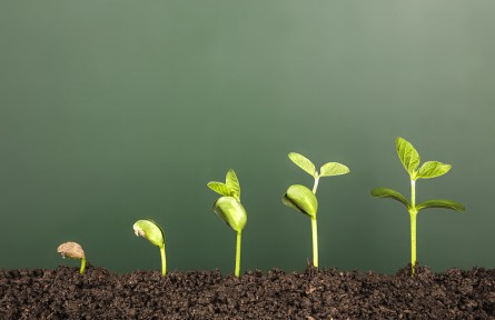 科技名词 | 绿色革命 green revolution