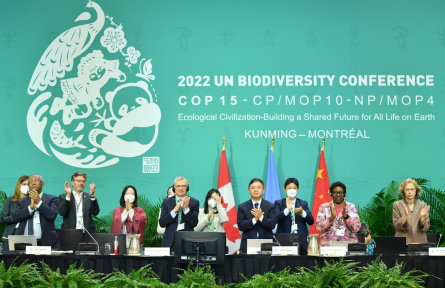 昆明—蒙特利尔全球生物多样性框架 Kunming-Montreal Global Biodiversity Framework