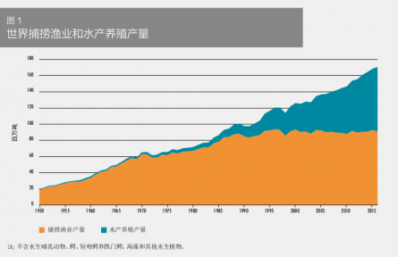 科普 | 在海洋中“放牧”——海洋如何变粮仓？