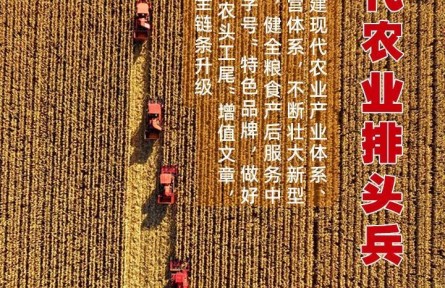 瞭望·治国理政纪事｜争当现代农业排头兵