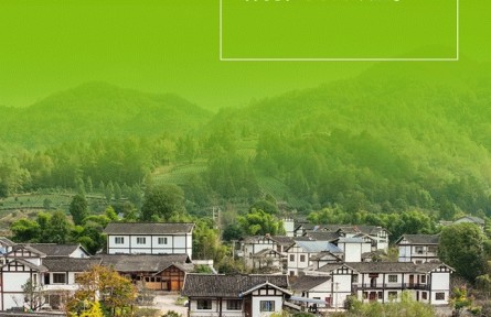 “三农”向好 全局主动