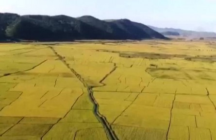 保障粮食安全 牢牢端稳中国人的饭碗 保粮食稳产增产 多措施落地落实
