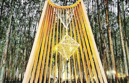 厦门大学嘉庚学院：师生用艺术赋能乡村振兴