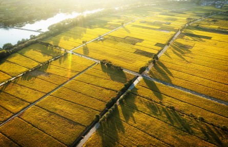科技名词 | 灌区  irrigation district，irrigation area