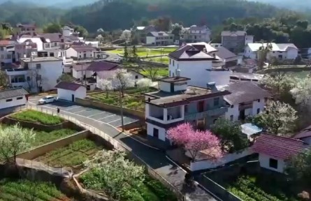 江西：巩固拓展脱贫攻坚成果 乡村振兴迈出坚实步伐