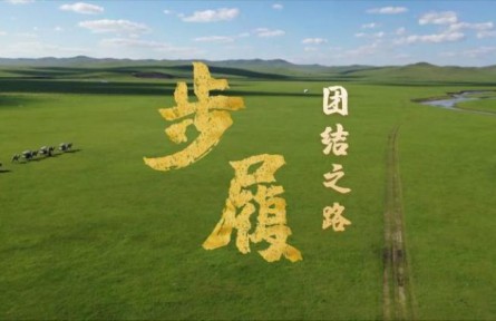 步履｜团结之路