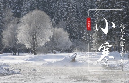 小寒，梅花先趁小寒开