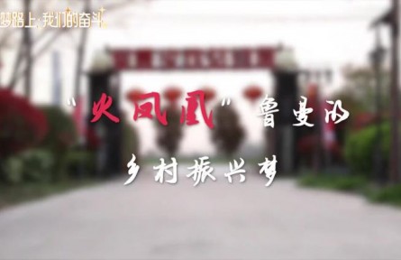 “火凤凰”鲁曼的乡村振兴梦