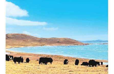 中国优化自然保护地体系