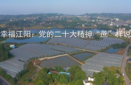 理响巴蜀｜党的二十大精神“蔗”样说