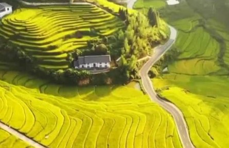 【稳经济 促发展 强信心·权威访谈】全力以赴端牢端稳中国饭碗