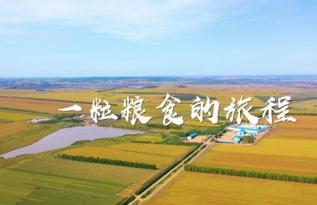 一粒粮食的旅程