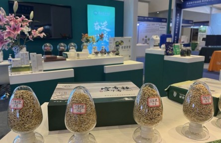 科技创新赋能种业“强芯”——探访第二届三亚国际种业科技博览会