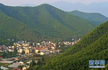 “为什么说绿水青山就是金山银山？”