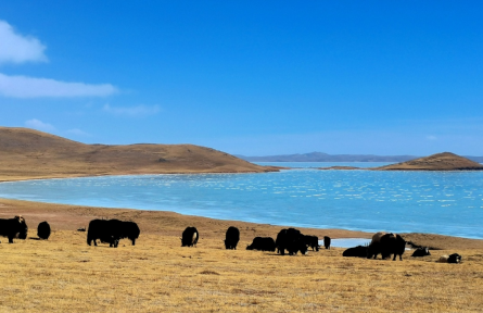 世界最大国家公园体系 world's largest national park system