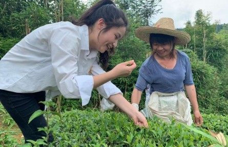 武夷学院：“茶小科”扎根田间地头 助力乡村振兴