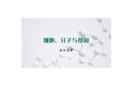《细胞、分子与基因》课程系列视频