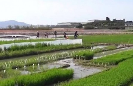 【新思想引领新征程】全方位夯实粮食安全根基