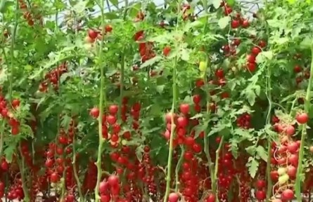 【传感中国】订制全新滋味
