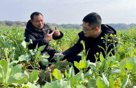 “冬闲人忙”放手干——湖南新型粮油生产经营主体新春走访见闻