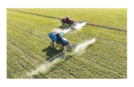 冬小麦冬油菜面积增加、长势正常——保持粮食稳产增产好势头