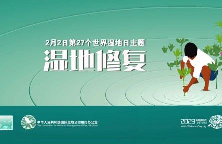 2月2日第27个世界湿地日主题：“湿地修复”