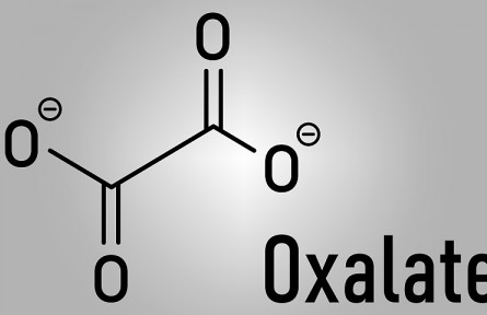 科技名词 | 草酸  oxalic acid